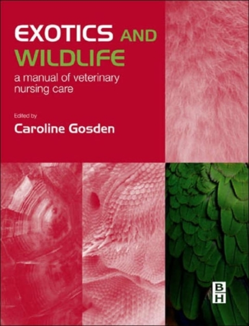 Exotics and Wildlife : A Manual of Veterinary Nursing Care, Paperback / softback Book
