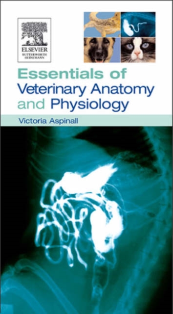 Essentials of Veterinary Anatomy & Physiology, Paperback / softback Book