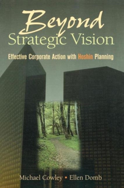 Beyond Strategic Vision, Paperback / softback Book