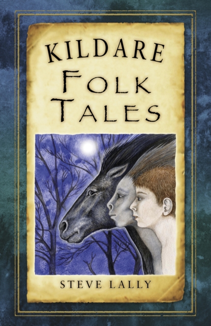 Kildare Folk Tales, EPUB eBook