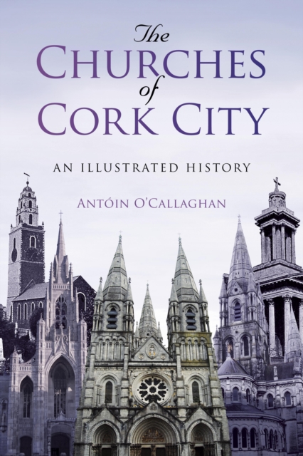 The Churches of Cork City, EPUB eBook