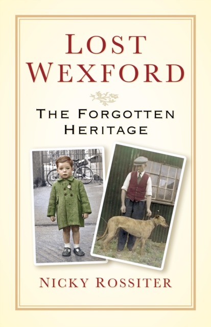 Lost Wexford, EPUB eBook