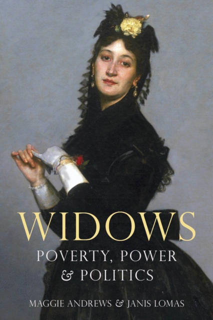 Widows : Poverty, Power and Politics, Hardback Book