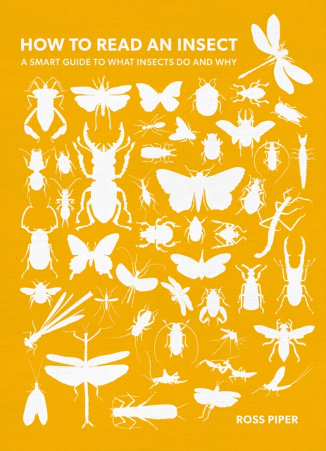 How to Read an Insect : A Smart Guide to What Insects Do and Why, Hardback Book