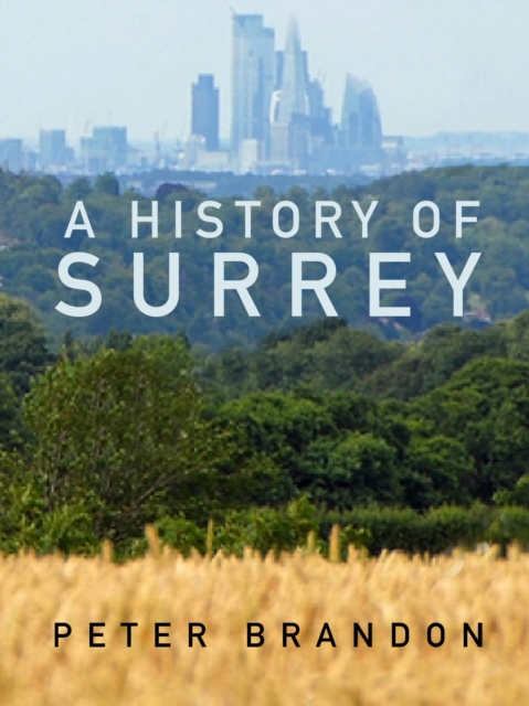 A History of Surrey, Paperback / softback Book