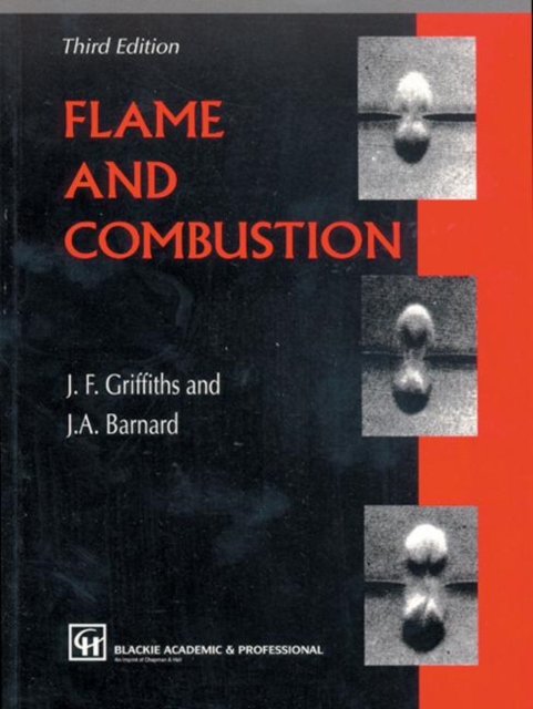 Flame and Combustion, Paperback / softback Book