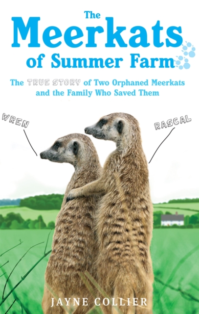 The Meerkats Of Summer Farm : The True Story of Two Orphaned Meerkats and the Family Who Saved Them, Paperback / softback Book