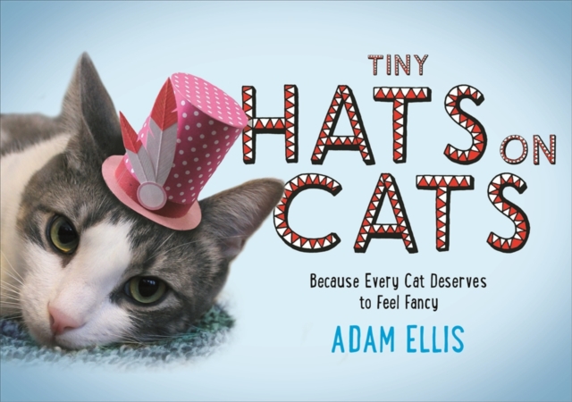 Tiny Hats on Cats, Hardback Book