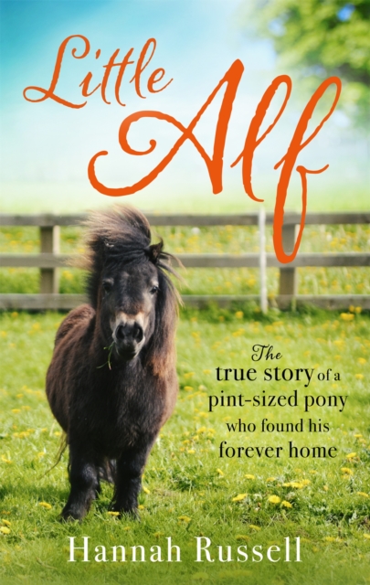 Little Alf : The true story of a pint-sized pony who found his forever home, Paperback / softback Book
