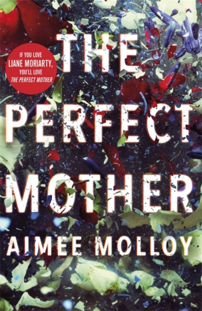 The Perfect Mother : A gripping thriller with a nail-biting twist, Paperback / softback Book