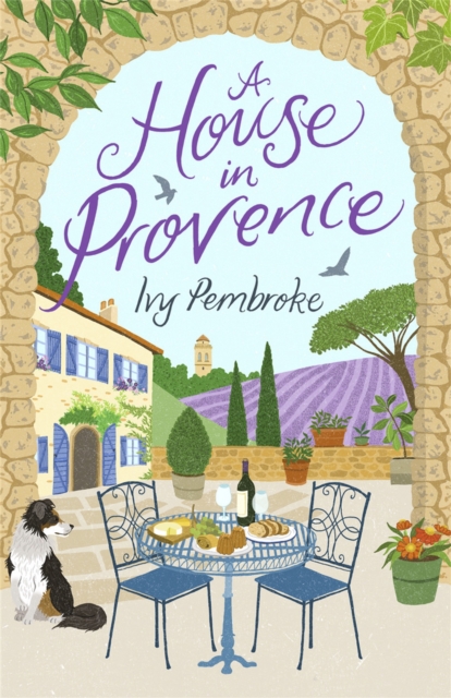 A House in Provence, Paperback / softback Book