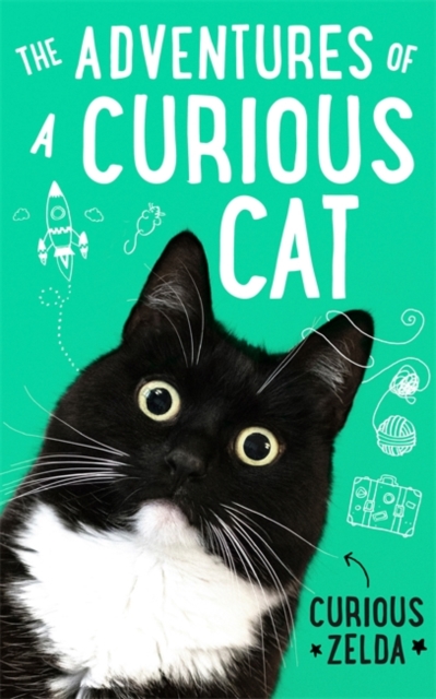 The Adventures of a Curious Cat : wit and wisdom from Curious Zelda, purrfect for cats and their humans, Hardback Book