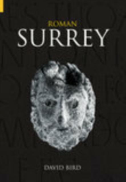 Roman Surrey, Paperback / softback Book