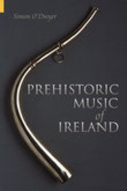 Prehistoric Music of Ireland, Paperback / softback Book