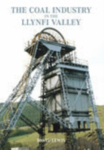 The Llynfi Valley Coal Industry : A History, Paperback / softback Book
