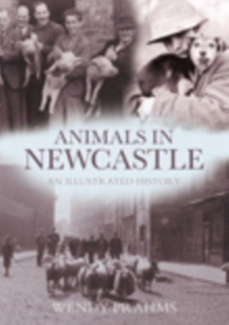 Animals In Newcastle : An Illustrated History, Paperback / softback Book