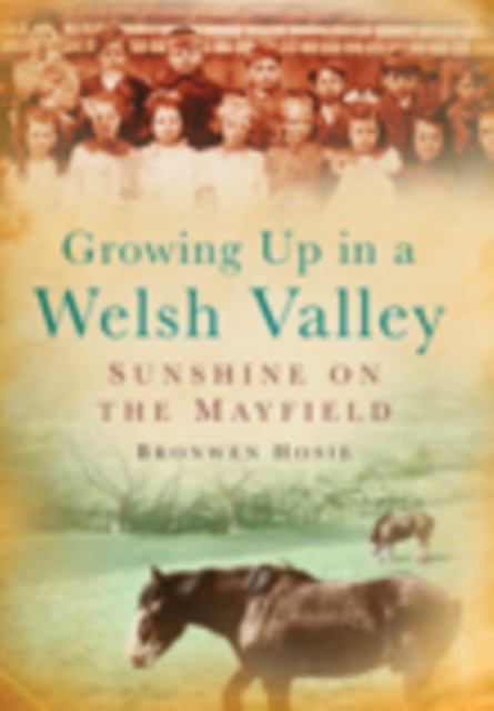 Growing Up in a Welsh Valley: Sunshine on the Mayfield, Paperback / softback Book