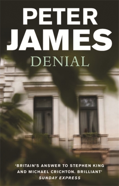 Denial, Paperback / softback Book