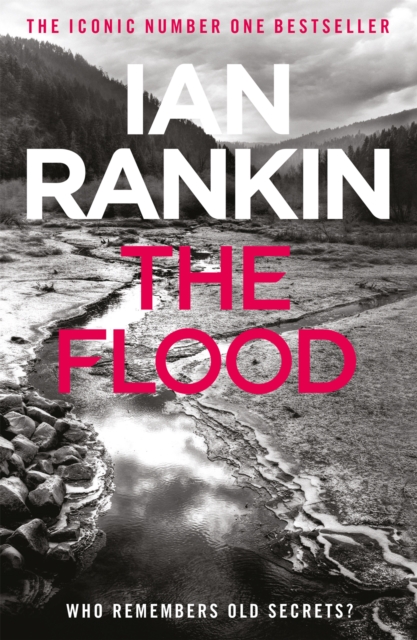 The Flood : From the Iconic #1 Bestselling Writer of Channel 4's MURDER ISLAND, Paperback / softback Book