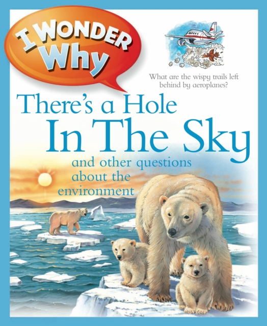I Wonder Why There's a Hole in the Sky, Paperback / softback Book