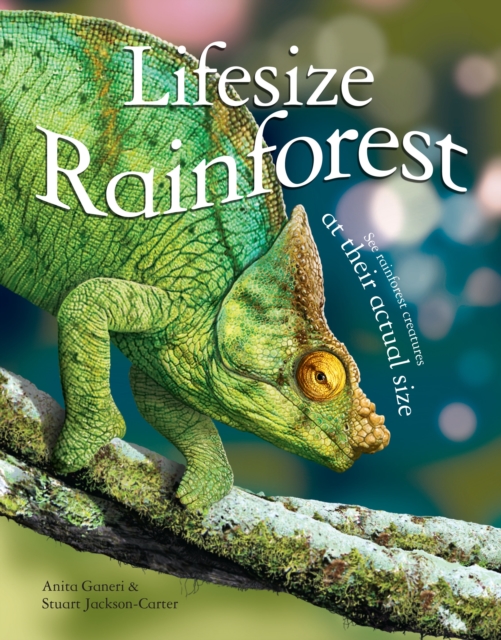 Lifesize Rainforest, Hardback Book