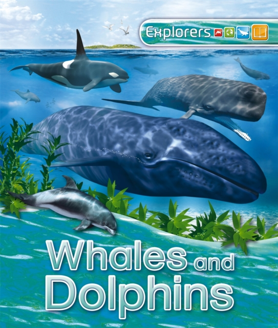 Explorers: Whales and Dolphins, Paperback / softback Book