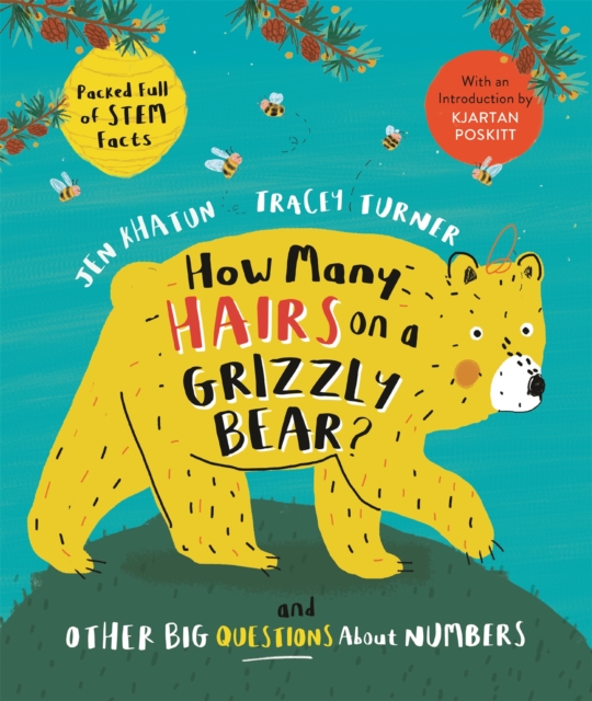 How Many Hairs on a Grizzly Bear? : And Other Big Questions about Numbers, Paperback / softback Book