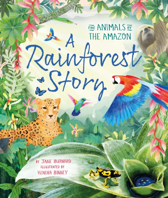 A Rainforest Story : The Animals of the Amazon: Jane Burnard ...