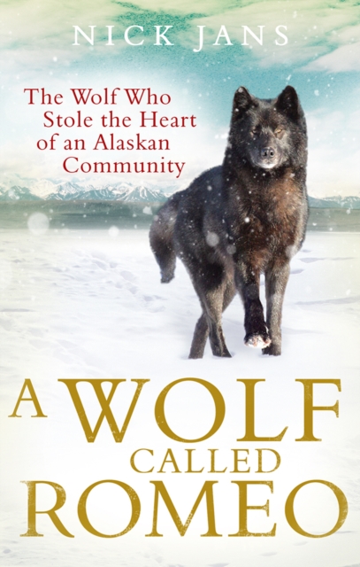 A Wolf Called Romeo, Paperback / softback Book