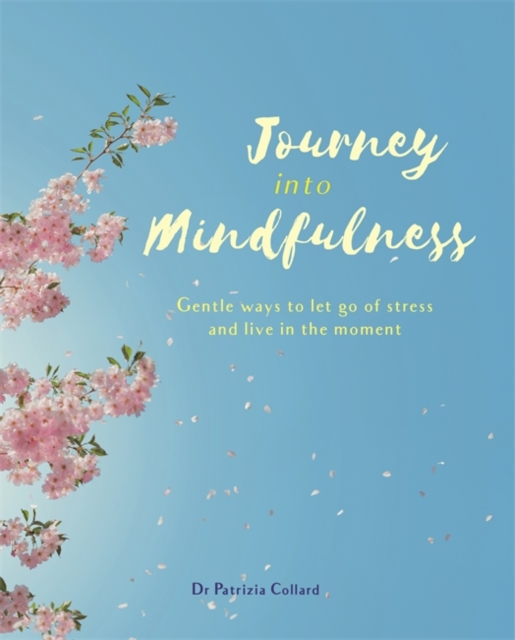 Journey into Mindfulness : Gentle ways to let go of stress and live in the moment, Paperback / softback Book