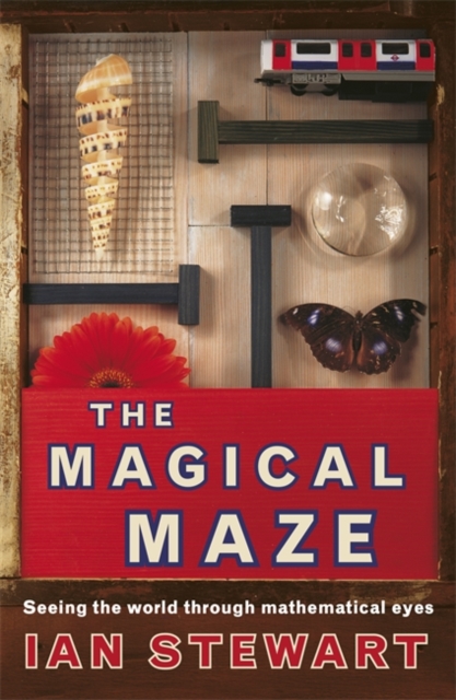 Science Masters: The Magical Maze, Paperback / softback Book