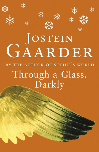 Through A Glass, Darkly, Paperback / softback Book