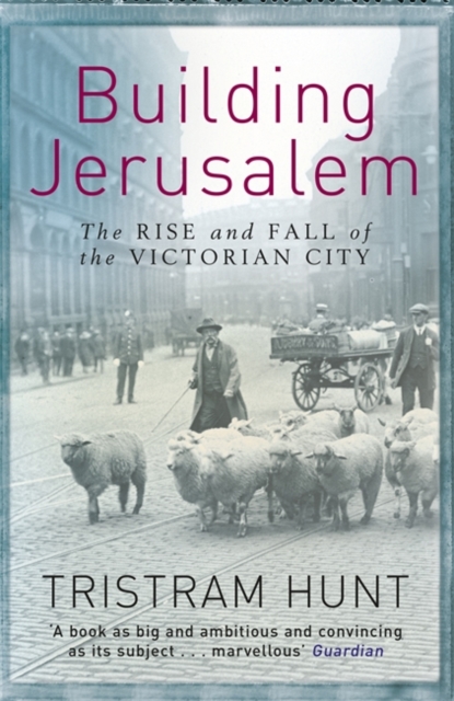 Building Jerusalem : The Rise and Fall of the Victorian City, Paperback / softback Book