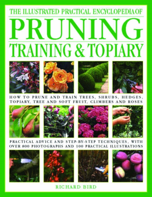 Illustrated Practical Encyclopedia of Pruning, Training and Topiary, Hardback Book