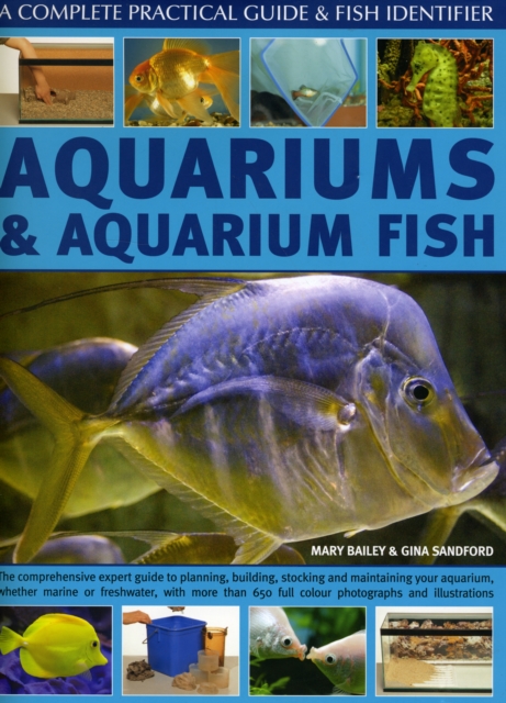 Aquariums and Aquarium Fish, Hardback Book