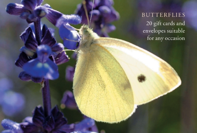 Butterfly Gift Card Pack, Cards Book
