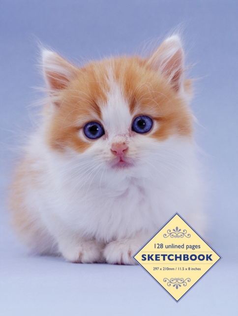 Sketchbook: Kitten, Spiral bound Book