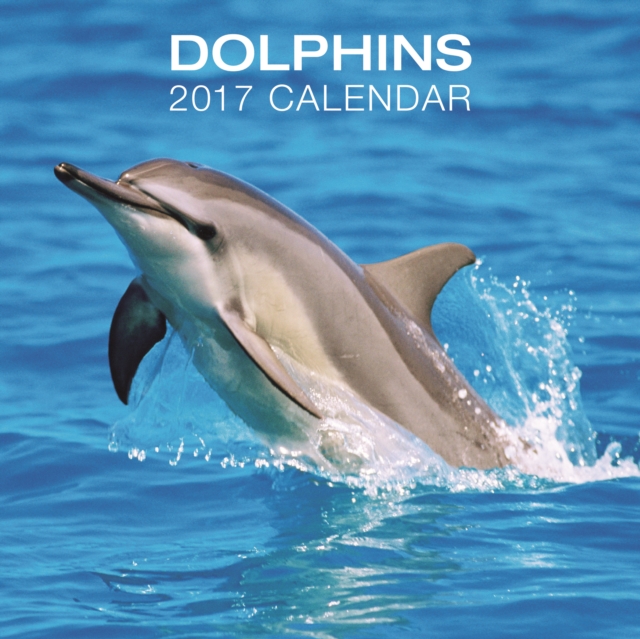 Dolphins Calendar 2017, Calendar Book