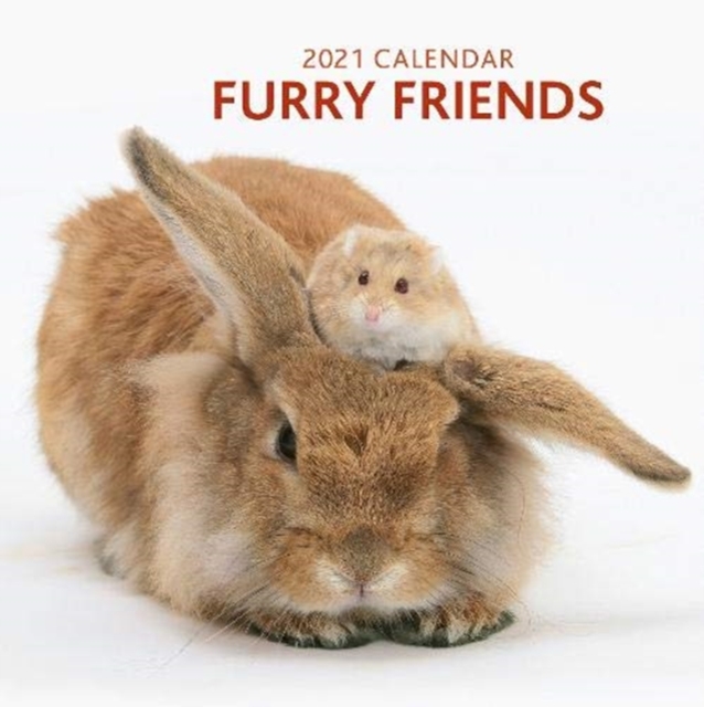 2021 Calendar: Furry Friends, Paperback / softback Book