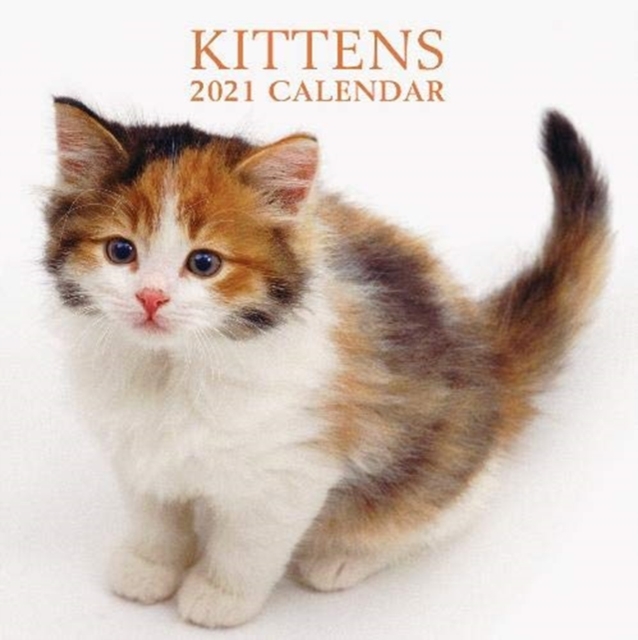 2021 Calendar: Kittens, Paperback / softback Book