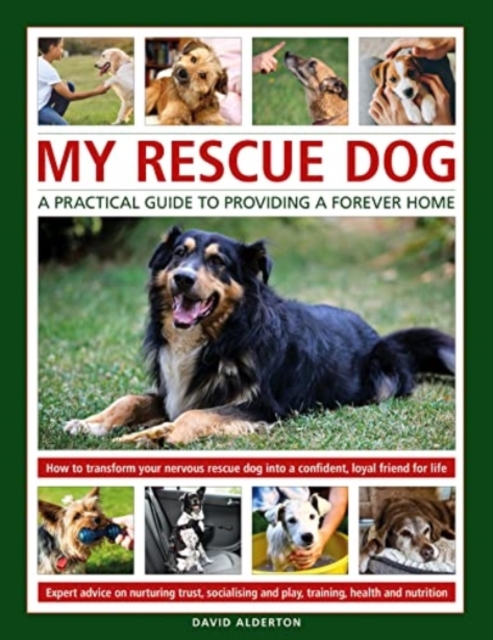 My Rescue Dog: A practical guide to providing a forever home : How to understand and transform your nervous rescue dog into a happy, confident, loyal friend for life; Expert advice on nurturing trust,, Hardback Book