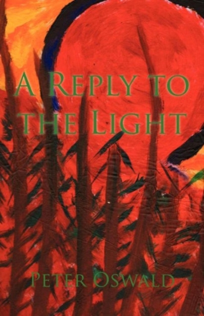 A Reply to the Light, Paperback / softback Book