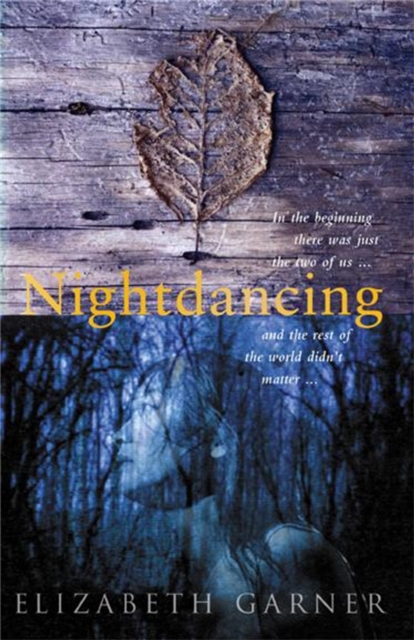 Nightdancing, Paperback / softback Book