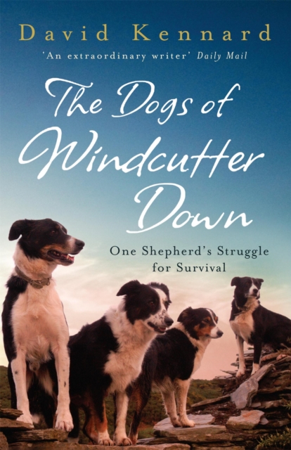 The Dogs of Windcutter Down, Paperback / softback Book