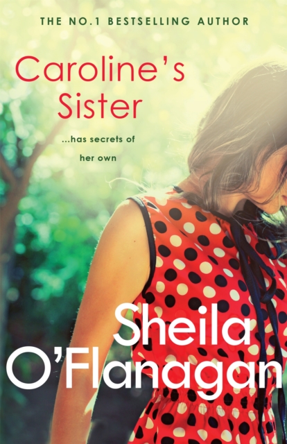 Caroline's Sister : A powerful tale full of secrets, surprises and family ties, Paperback / softback Book