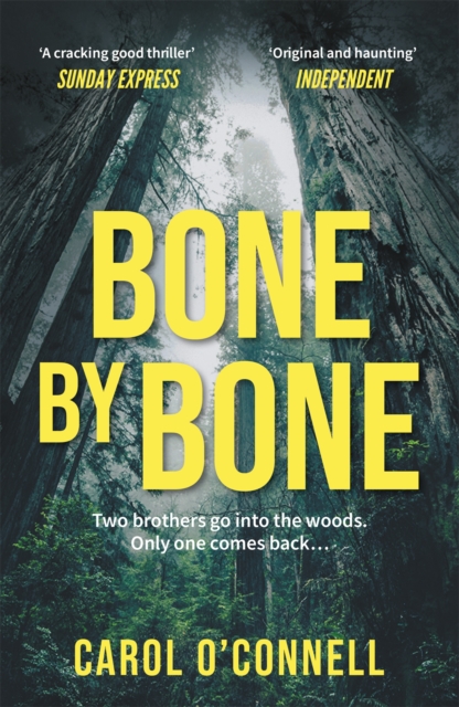 Bone by Bone : a gripping who-dunnit with a twist you don't see coming, Paperback / softback Book