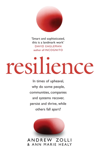 Resilience : Why Things Bounce Back, Paperback / softback Book