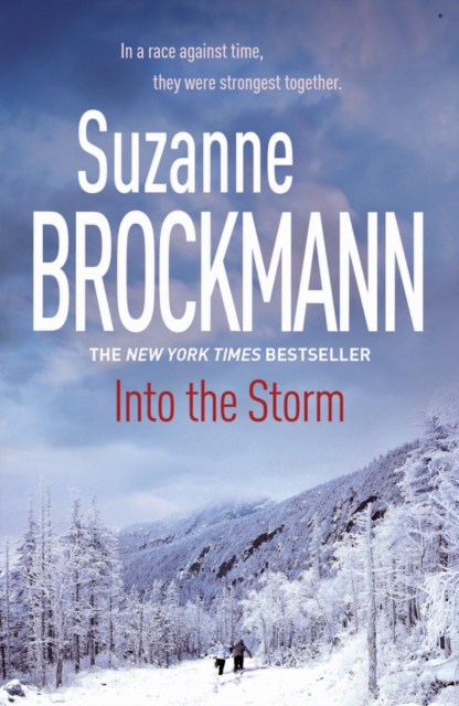 Into the Storm: Troubleshooters 10, EPUB eBook