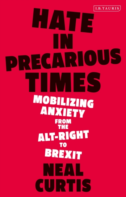 Hate in Precarious Times : Mobilizing Anxiety from the Alt-Right to Brexit, Paperback / softback Book