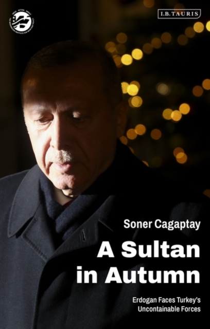 A Sultan in Autumn : Erdogan Faces Turkey's Uncontainable Forces, EPUB eBook